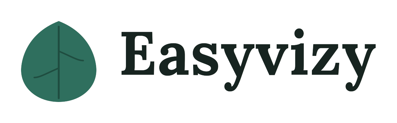 Easyvizy